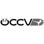 Das Logo von ÖCCV in grau.